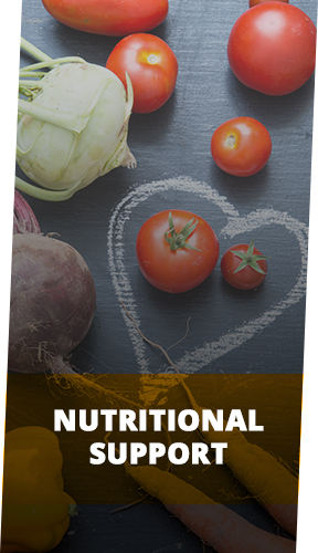 Nutritional Support In Rochester, Minnesota